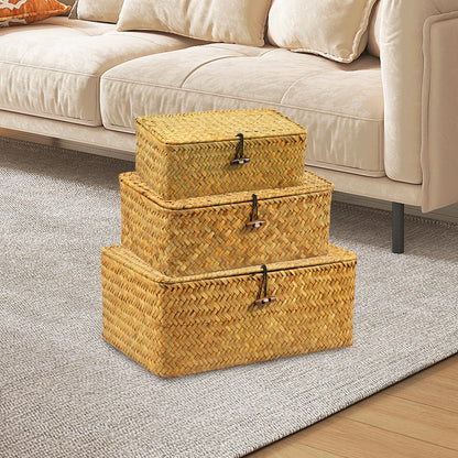 Seagrass Storage Baskets with Lids, Set of 3
